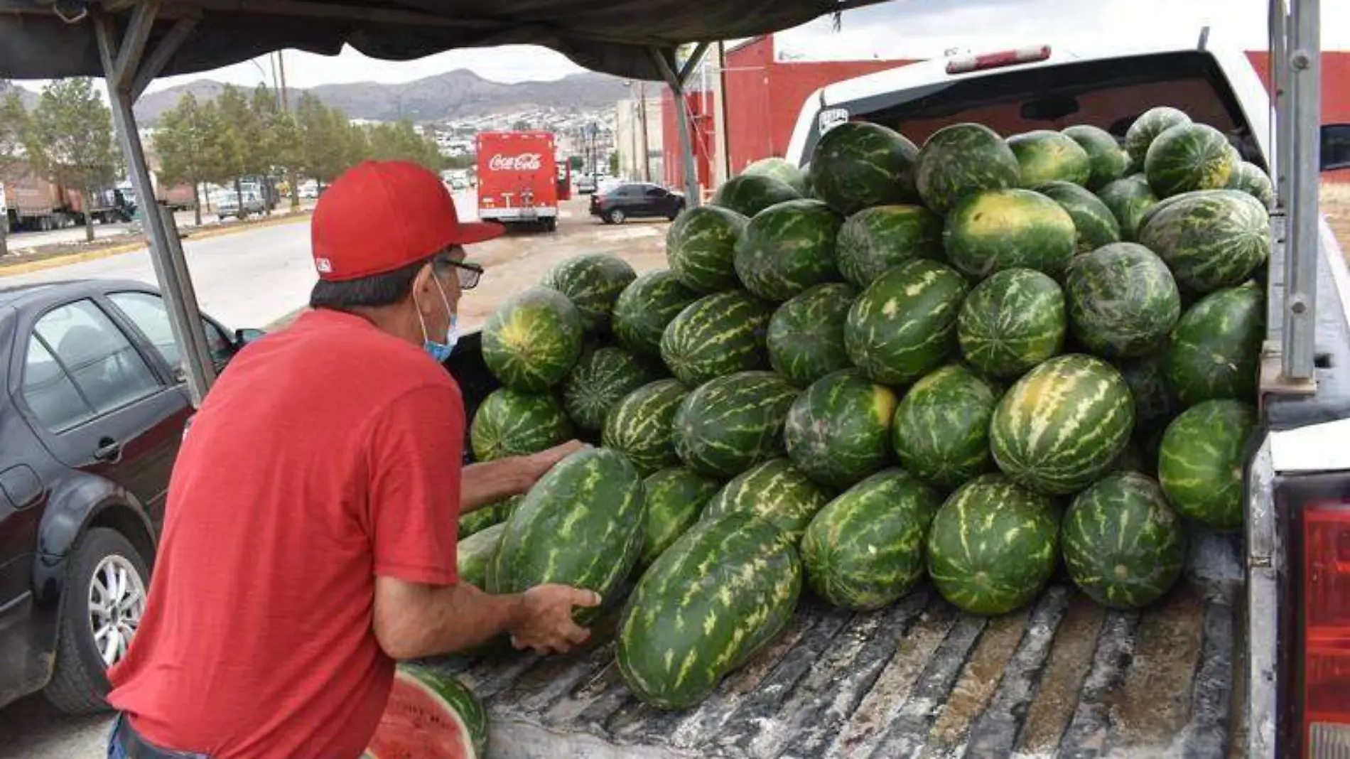 SANDIA 1 FOTO JAVIER CRUZ